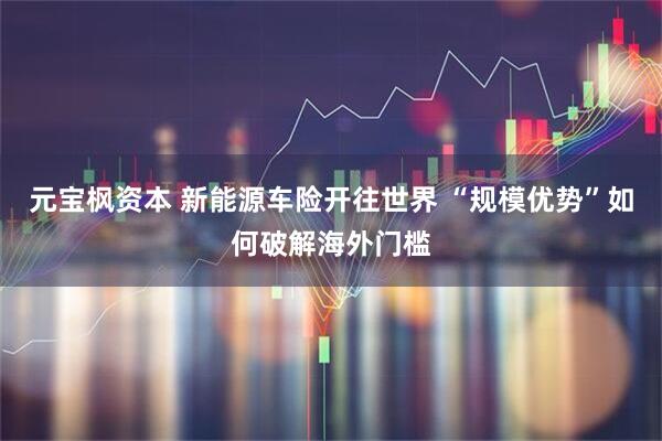 元宝枫资本 新能源车险开往世界 “规模优势”如何破解海外门槛