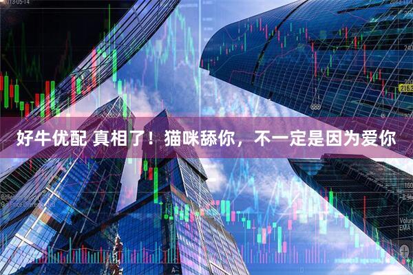 好牛优配 真相了！猫咪舔你，不一定是因为爱你